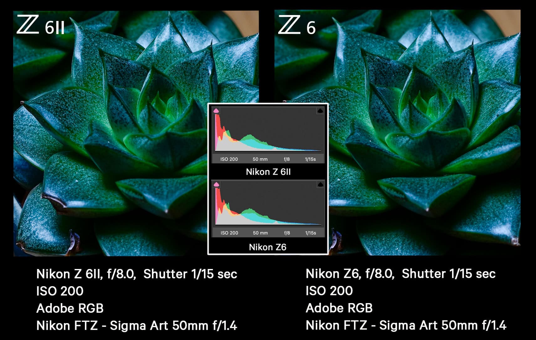 nikon-z6-vs-z-6ii-ftz-sigma-50mm-f1.4-blog-gmp-1