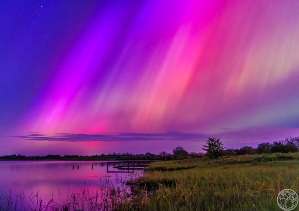 Vibrant purple and pink Northern Lights (Aurora Borealis) streaking across a starry night sky over a calm Irish lake and silhouetted shoreline.