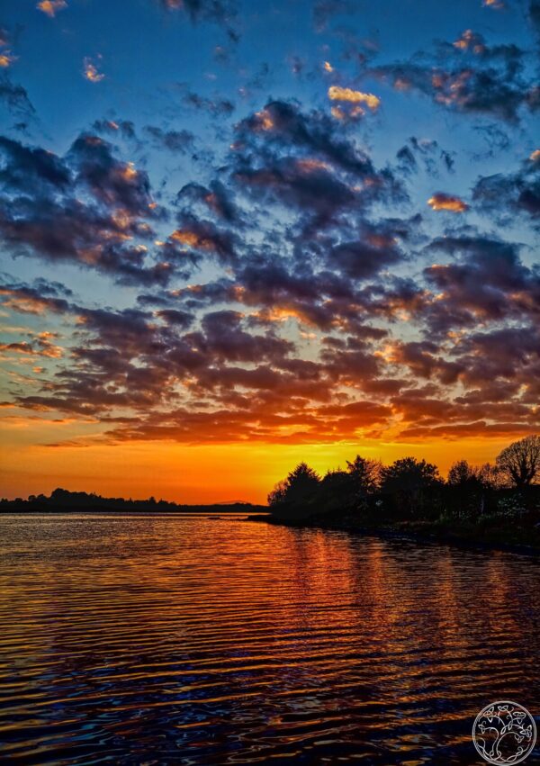 A, vibrant, sunset, over, the, calm, waters, of, Urlaur, Lough, in, County, Mayo, featuring, intense, orange, and, blue, sky, with, dark, silhouettes, of, trees, and, Nephin, Mountain, in, the, distance.