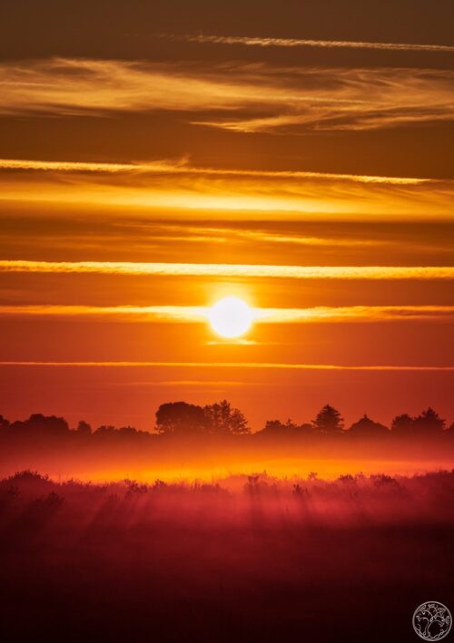 Golden Dawn Golden Dawn