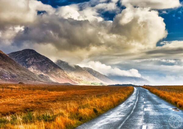 A wet road winding through golden boglands toward the sharp peaks of the Twelve Bens mountains in Connemara, County Galway.