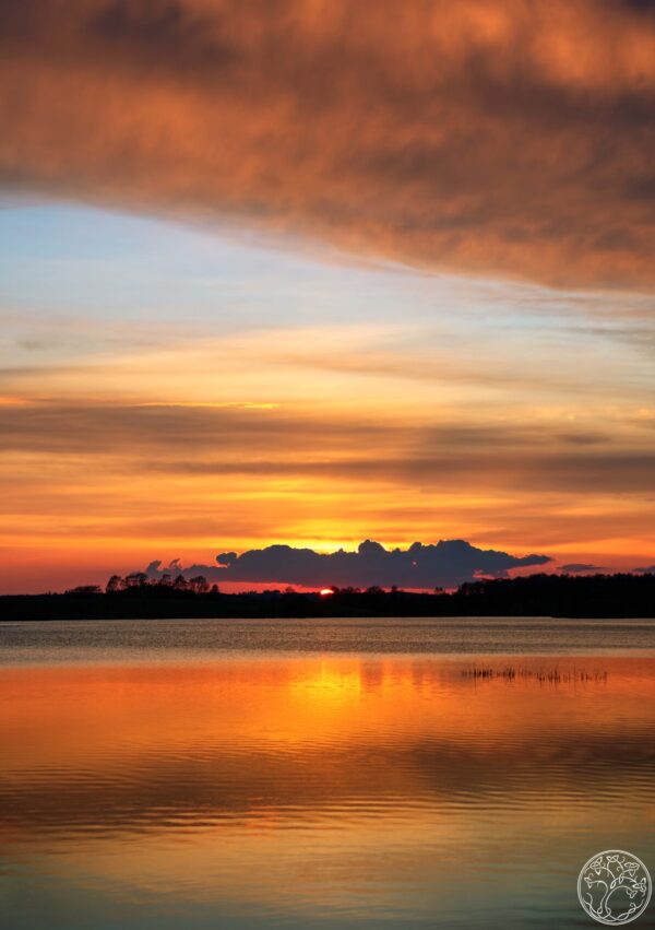 Sunset over Urlaur Lough, Mayo, golden reflections on water, silhouette of distant trees and clouds.