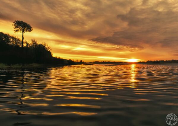 Loughglynn Sunrise: Liquid Gold