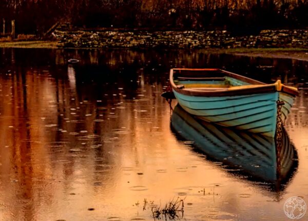 Quite Reflections Quite Reflections