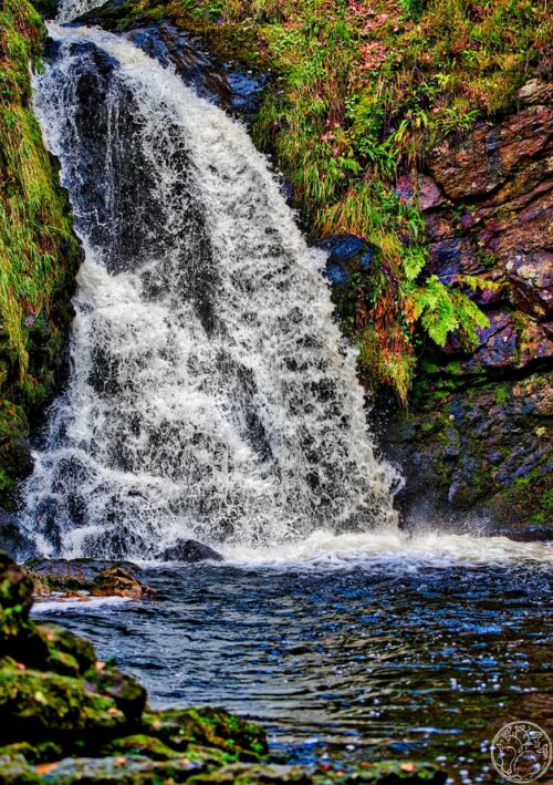 Turbulent Tourmakeady Falls Tourmakeady Falls in County Mayo featuring a powerful white waterfall cascading into a pool surrounded by mossy rocks and ferns.