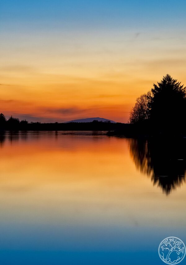 A serene sunset over Urlaur Lough with Nephin mountain visible on the horizon and dark tree silhouettes reflected in the calm water.